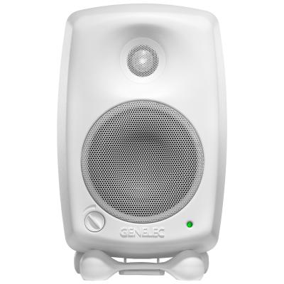 GENELEC 8020DWM